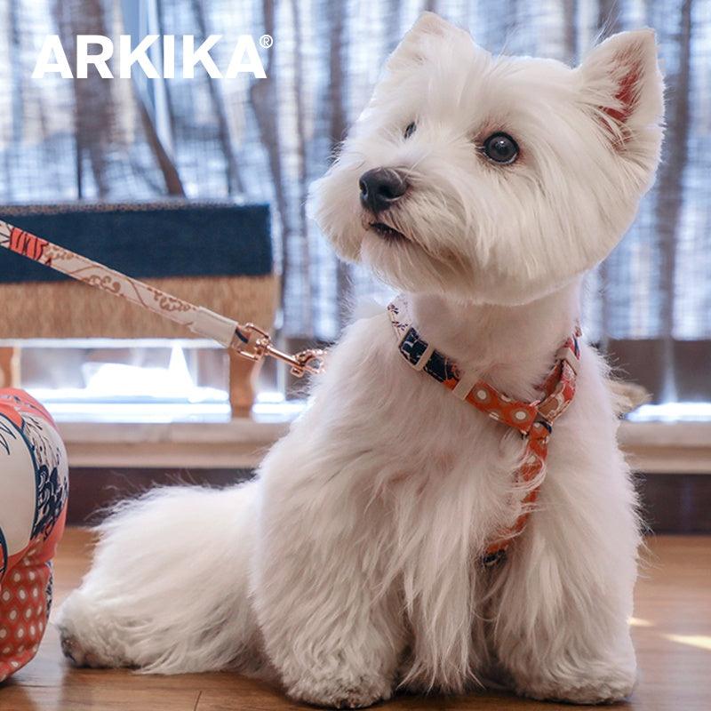 ARKIKA® Pearl-Style Pet Harness Leash - KIKOPALS