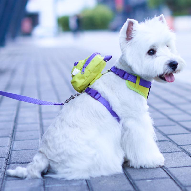 TOUCHDOG® Sauntering Bag Harness & Leash Set - KIKOPALS