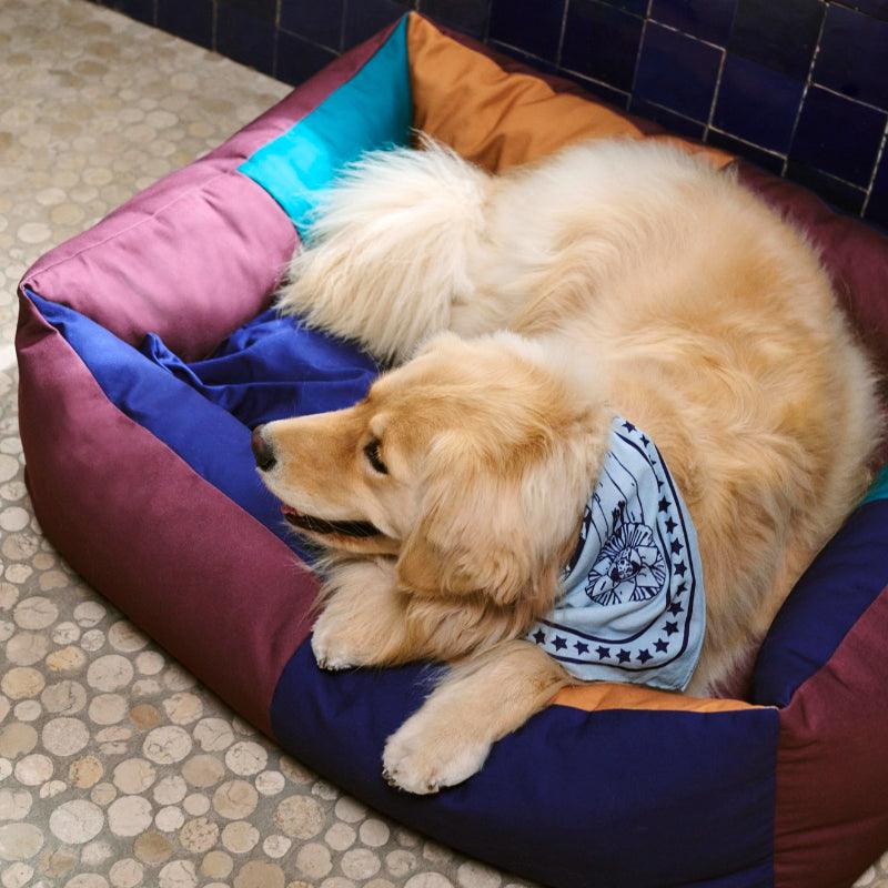 HAY® Dog Bed - KIKOPALS