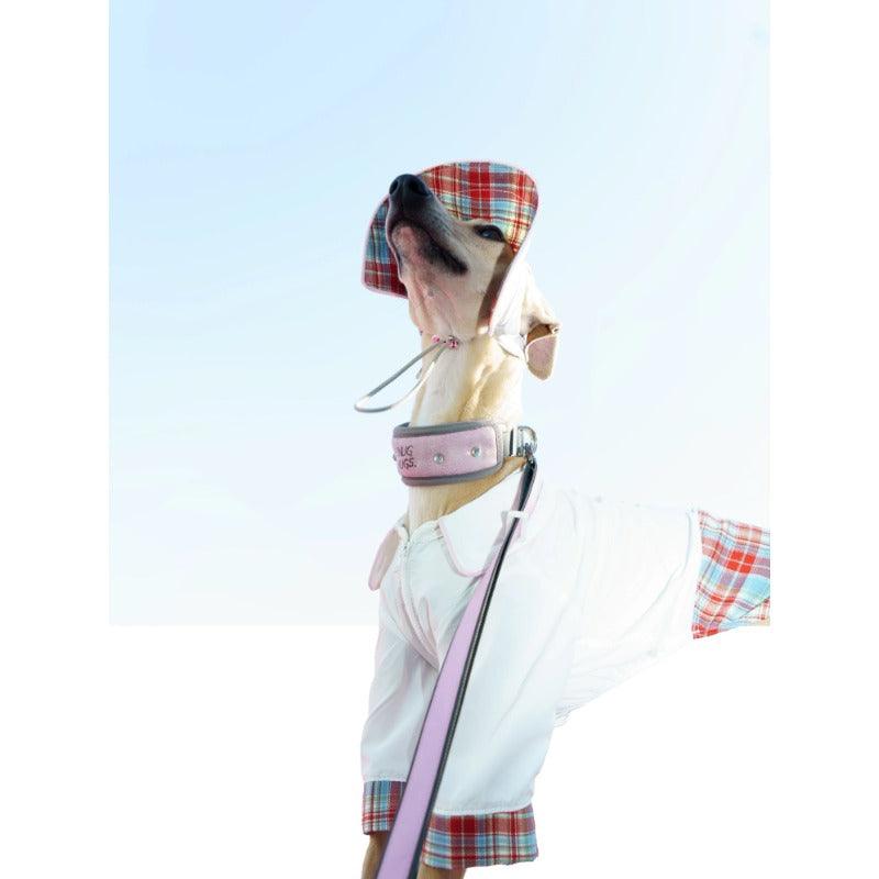 SNUGHUGS® Dog Collar - KIKOPALS