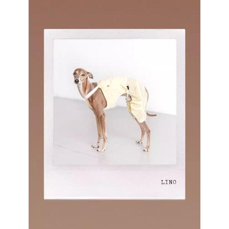 GASU® Reversible Lightweight Dog Overalls - KIKOPALS