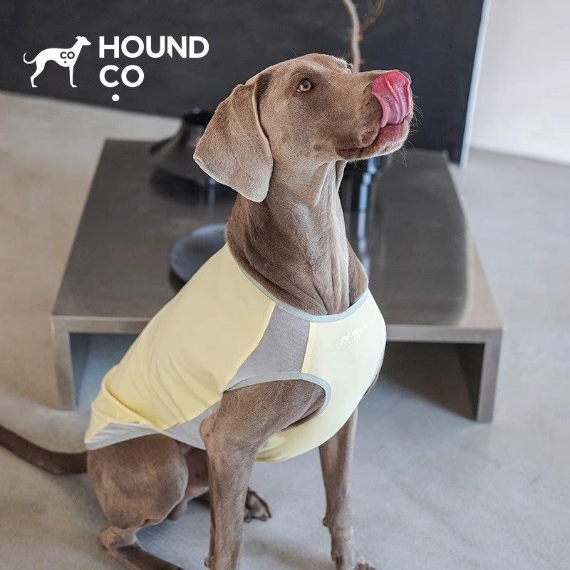 Hound Co.® Lightweight Cooling Vest for Pets - KIKOPALS