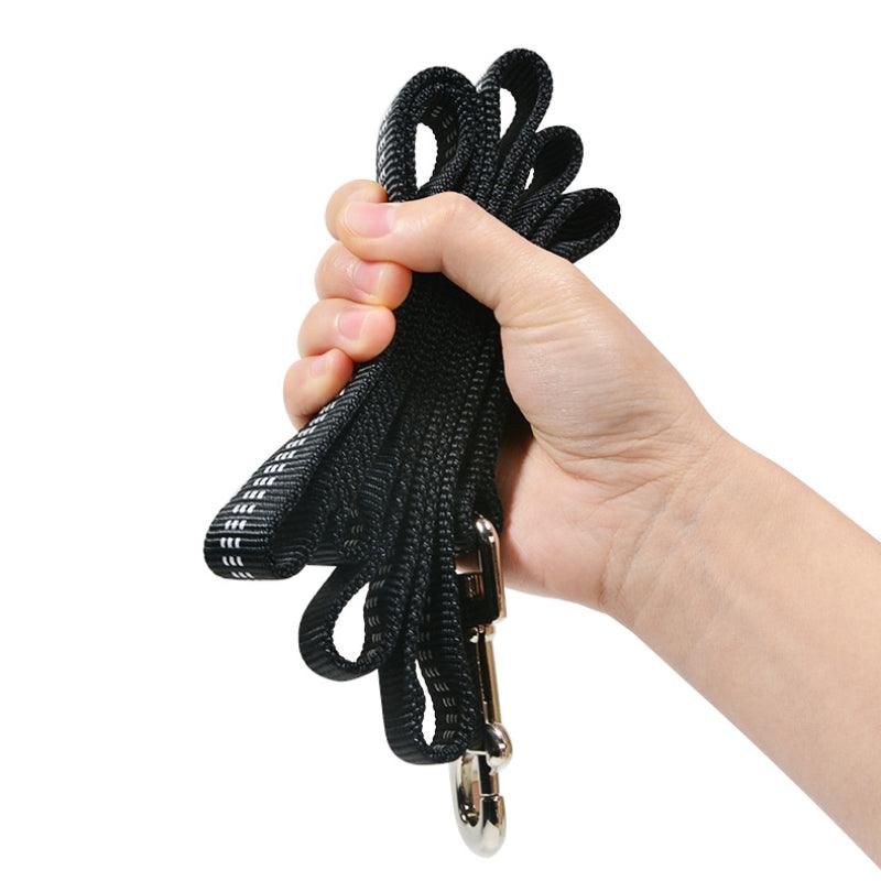 BeauGo® Dog Leash - KIKOPALS