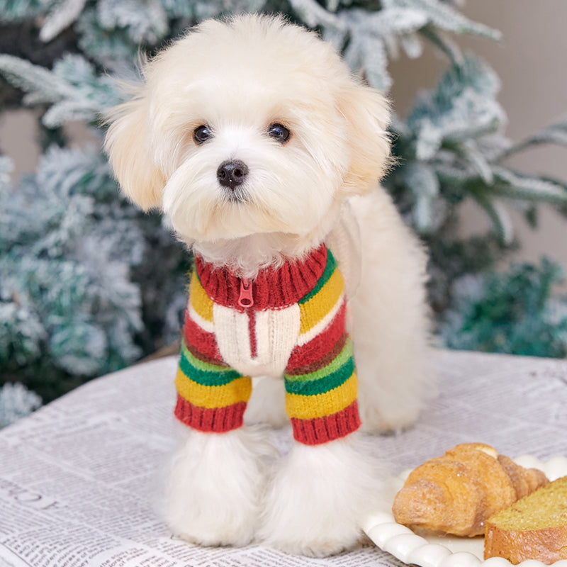 MookiPet® Rainbow Stripe Polo Sweater for Dogs