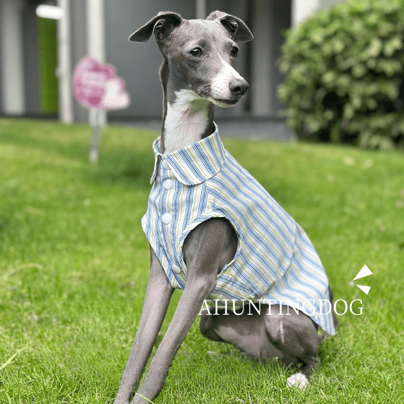 A HUNTING DOG® Sleeveless Dog Shirt - KIKOPALS