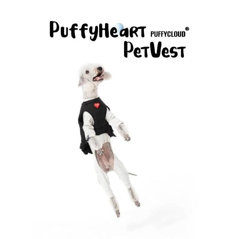 PUFFYCLOUD® Sportswear Casual Suit - KIKOPALS