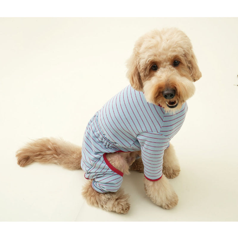 PuppyGallery® Cream Striped Four-Legged Suit for Small Breeds