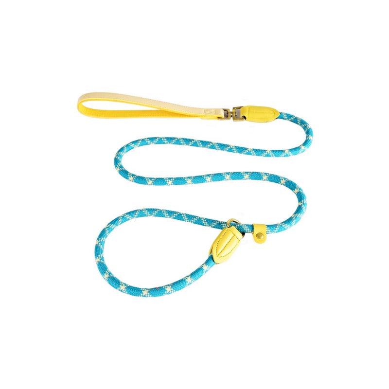 Minly® P-Chain Dog Training Leash - KIKOPALS