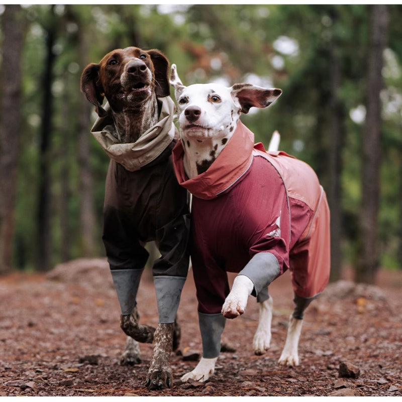 BlackDoggy® Waterproof Raincoats for Dogs & Adults