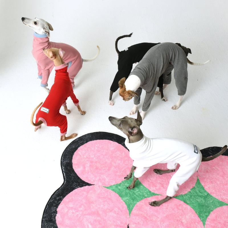 iiNeed® Comfortable Base Layer for Dogs