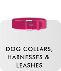 Dog Collars, Harnesses & Leashes