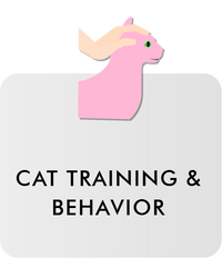 Cat Training & Behavior